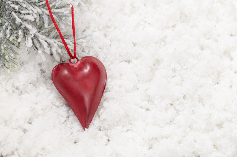 Smart Disposal Techniques for Plant Pots