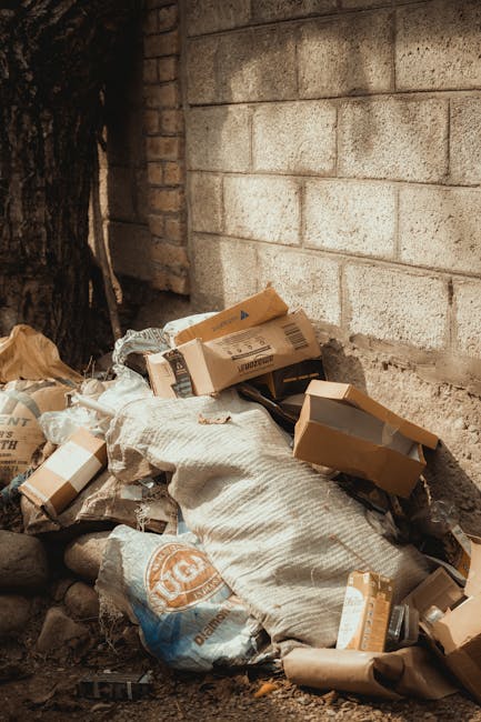 Whitton bulky rubbish removal what to know about access fees